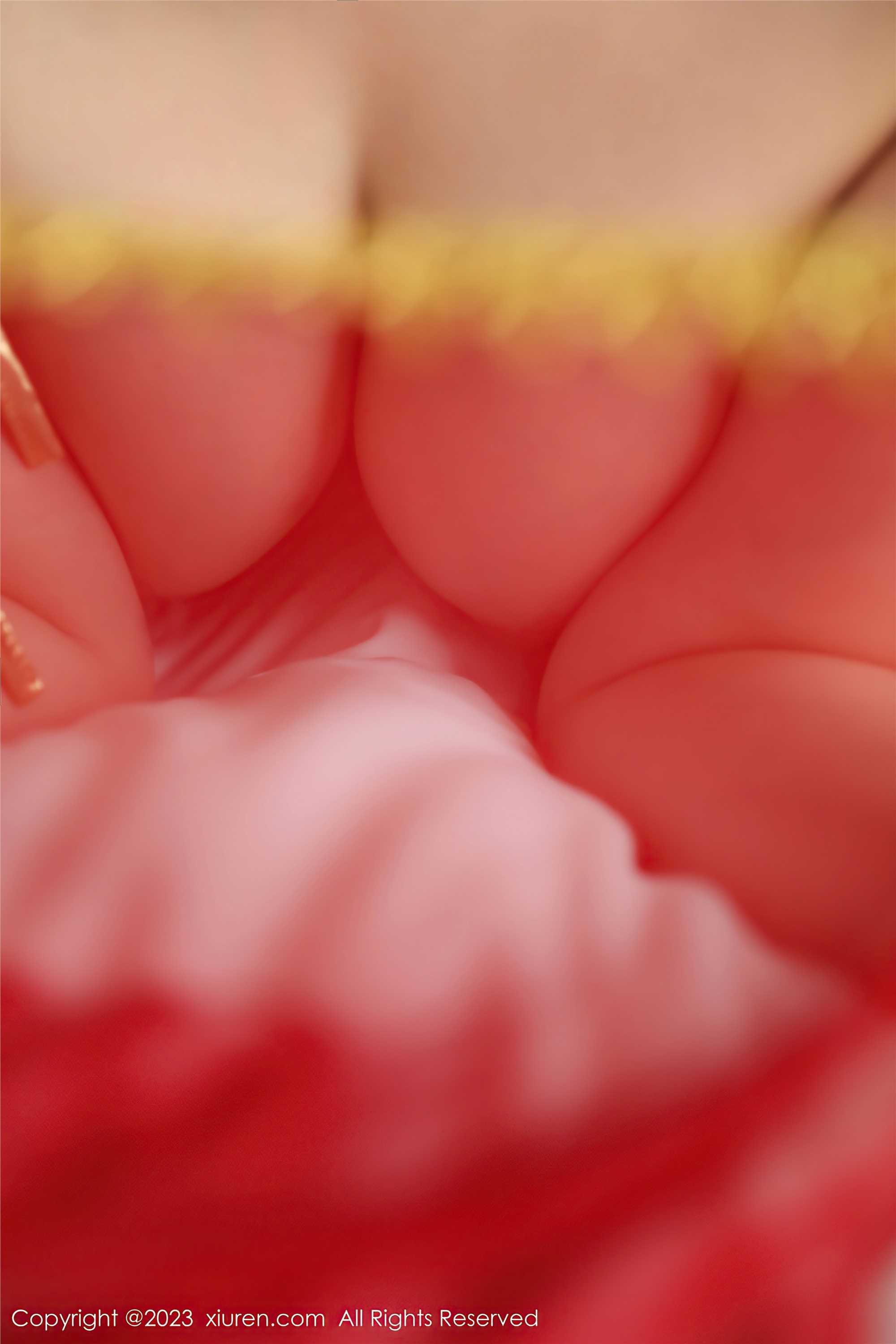 Xiuren秀人网 2023.07.19 NO.7103 柚琪Rich